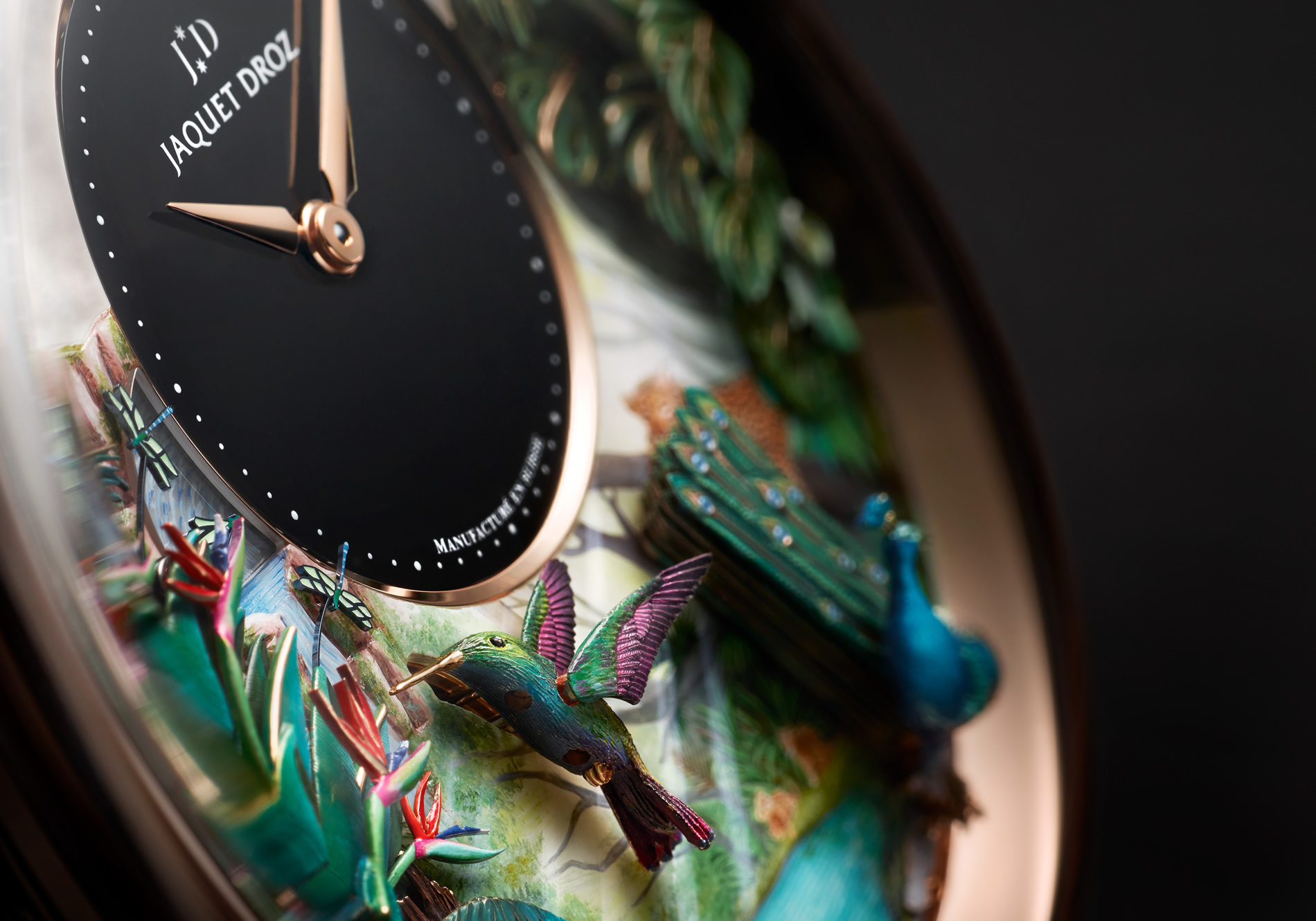 TROPICAL BIRD REPEATER: A JOURNEY TO PARADISE