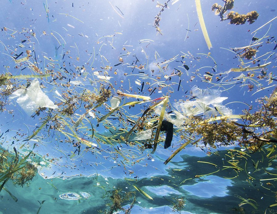 Plastic in ocean