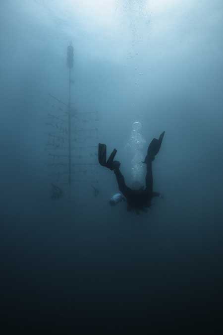 under the sea