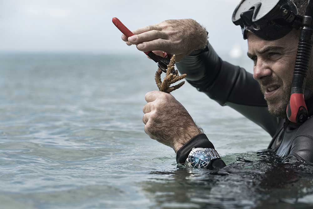 coral cutting
