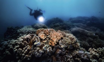 Oris Great Barrier Reef Limited Edition III