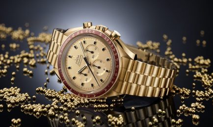 Moonwatch Anniversary Limited Series