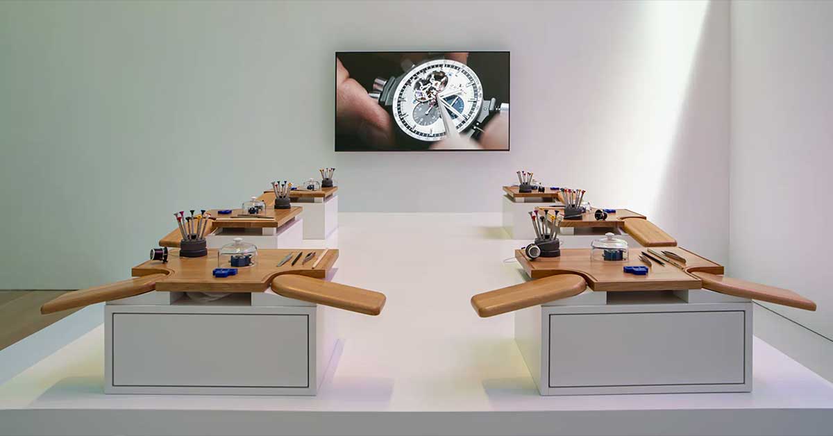 Rolex vs Zenith luxury watch brand